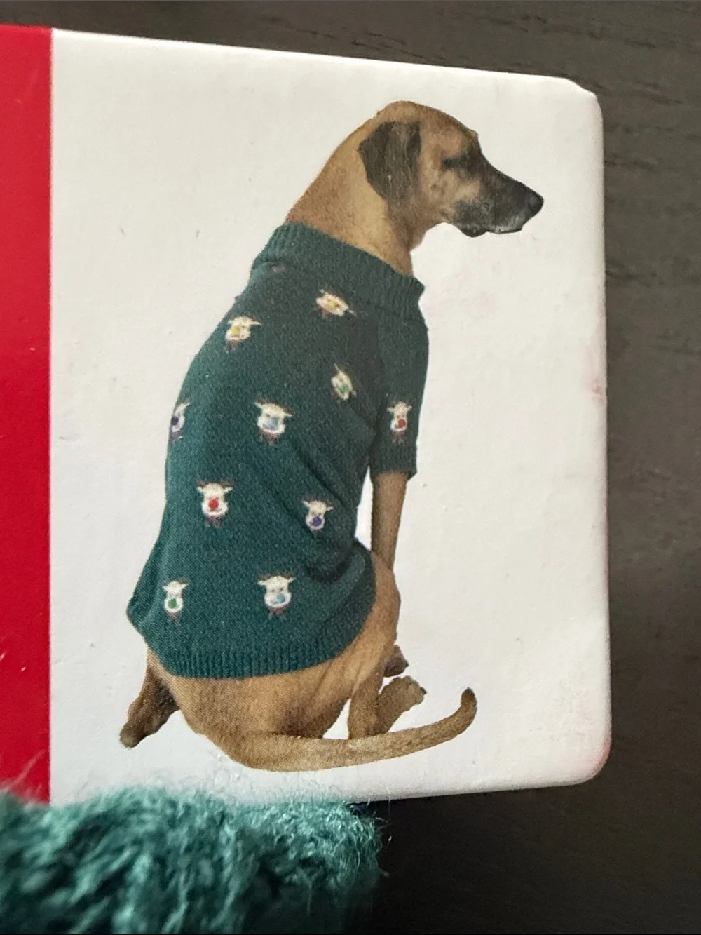 Green Holiday Dog Sweater with Reindeer Pom Accents